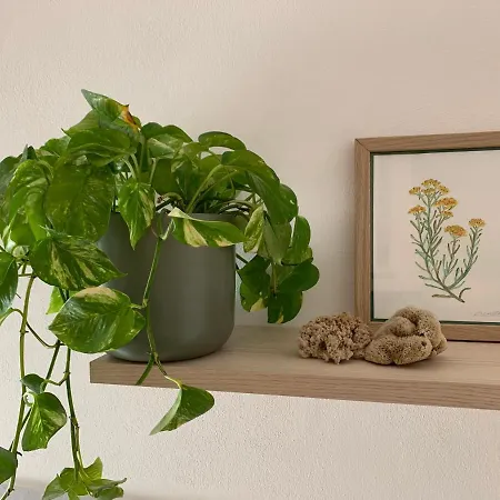 Maison d'hôtes Elicriso