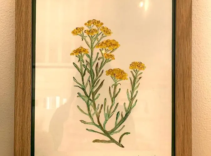 Gasthuis Elicriso 4*